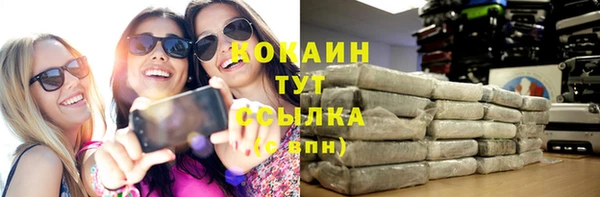 дживик Зерноград