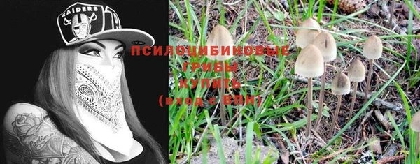 дживик Зерноград