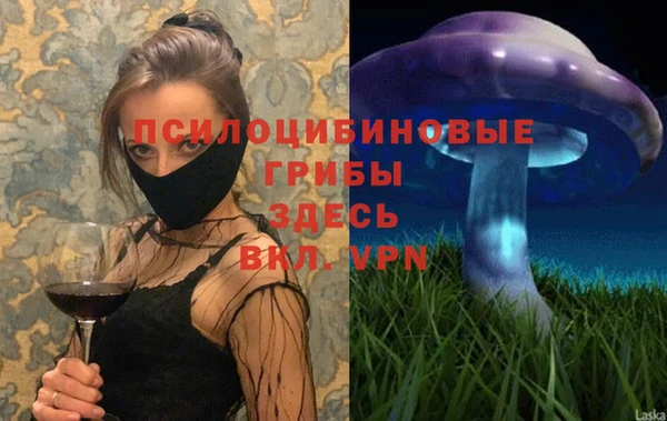 дживик Зерноград