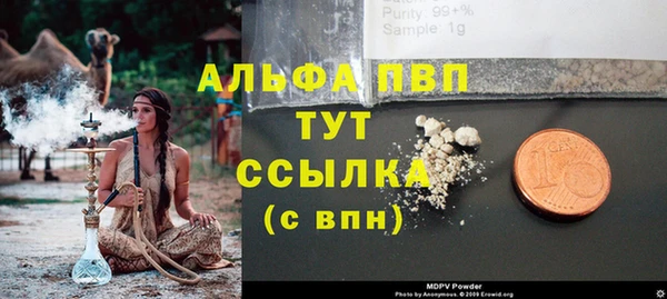 Альфа ПВП Зеленокумск