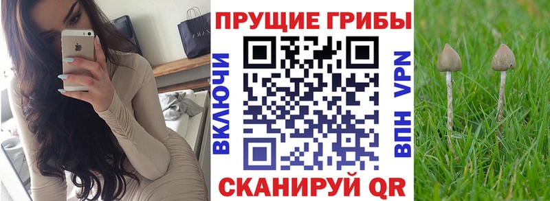 Галлюциногенные грибы прущие грибы shop официальный сайт Иннополис закладка