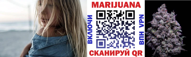 Каннабис сатива Иннополис